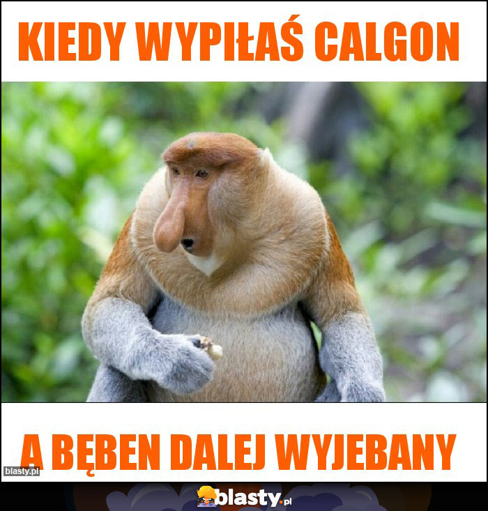 Kiedy wypiłaś calgon