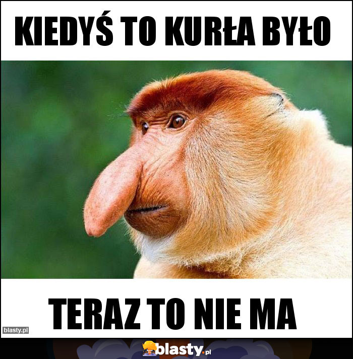 Kiedyś to kurła było