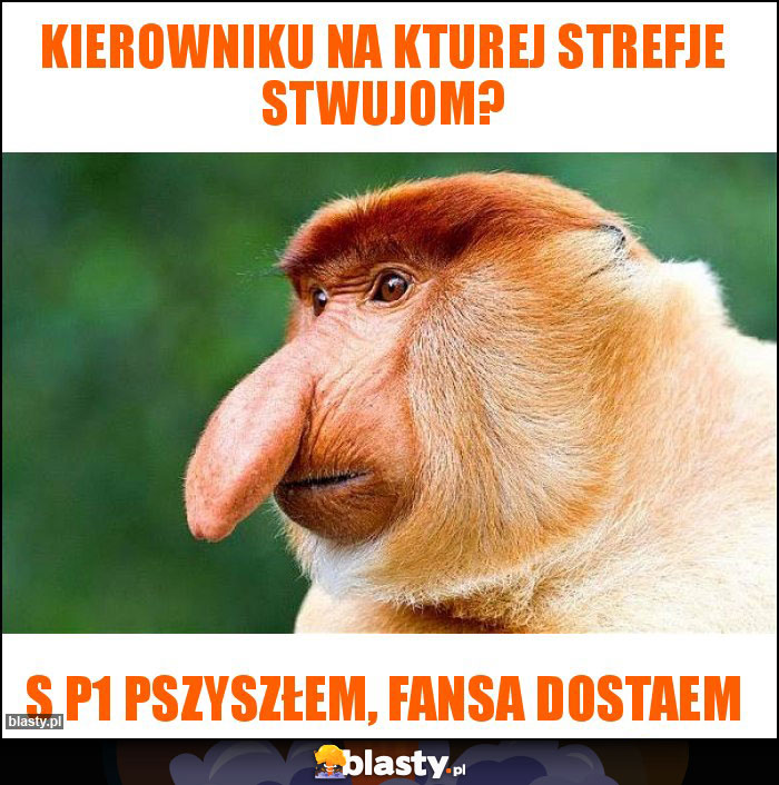 Kierowniku na kturej strefje stwujom?