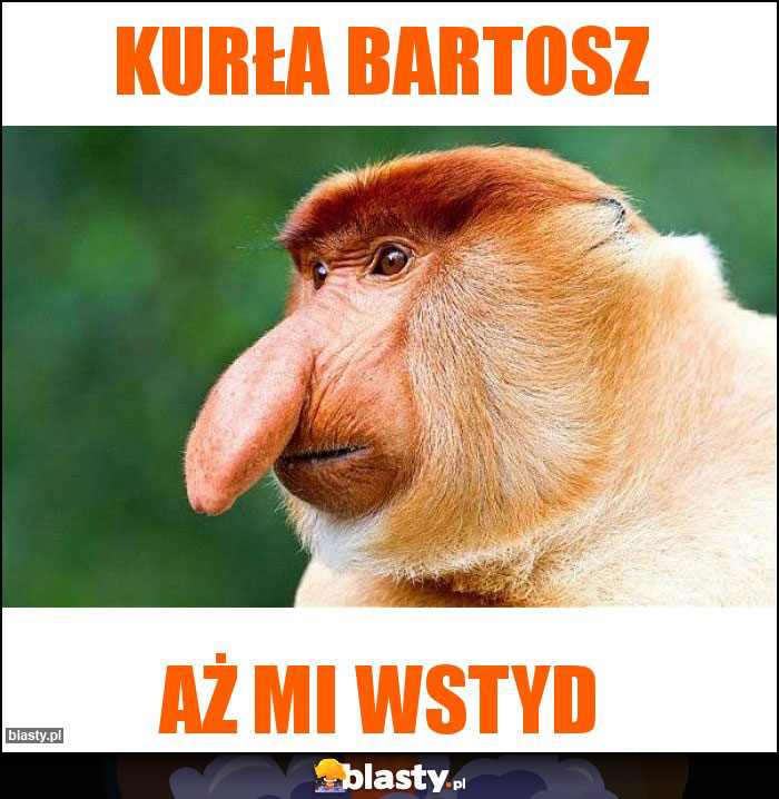 Kurła Bartosz