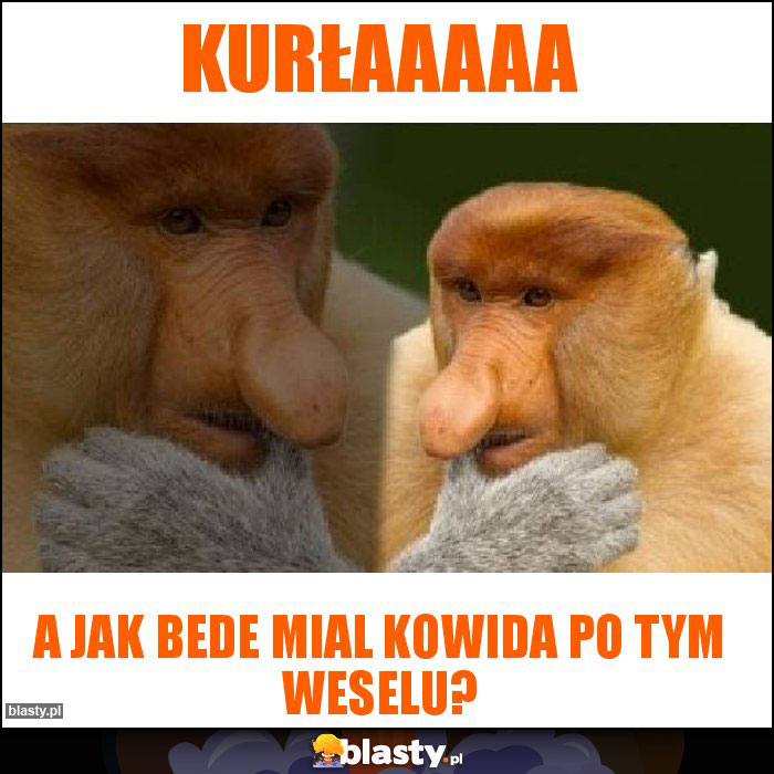 kurłaaaaa