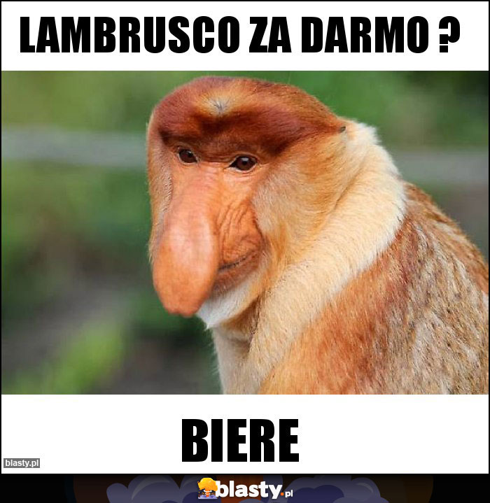 Lambrusco za darmo ?