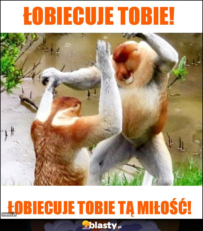 Łobiecuje Tobie!