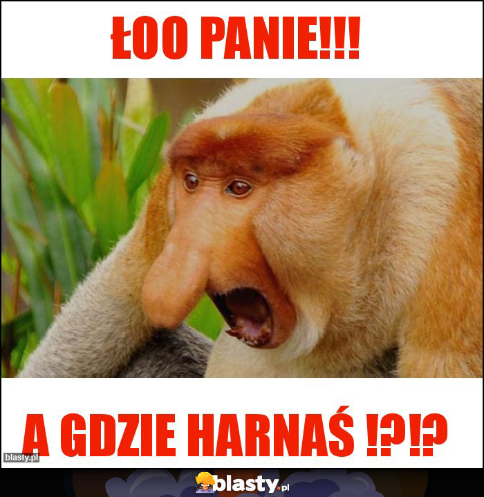 ŁOO PANIE!!!