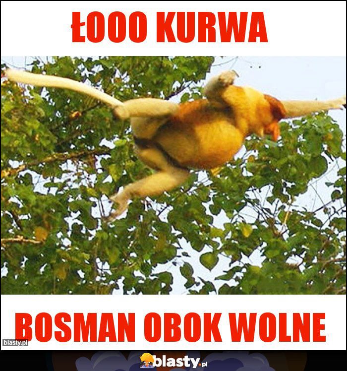 Łooo Kurwa