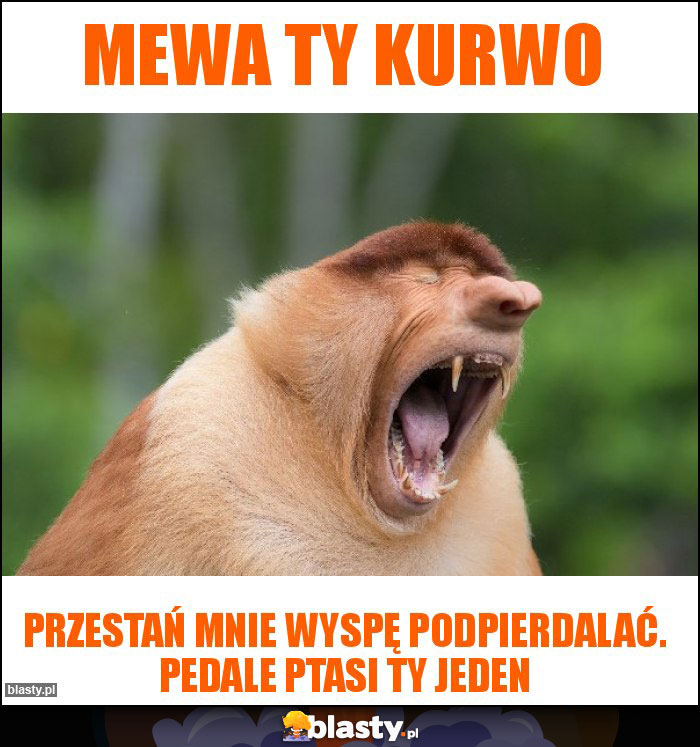 MEWA TY KURWO