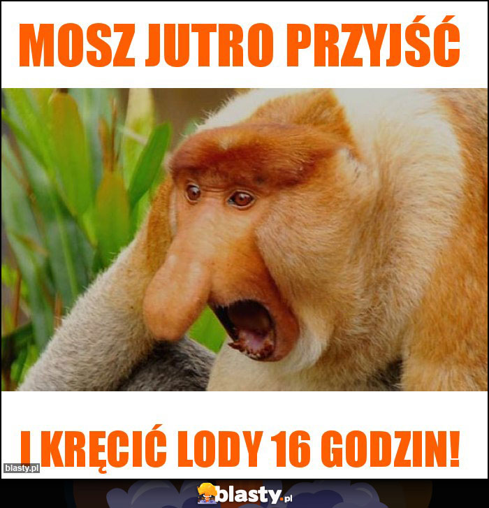 MOsz jutro przyjść