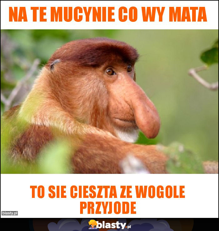 NA TE MUCYNIE CO WY MATA