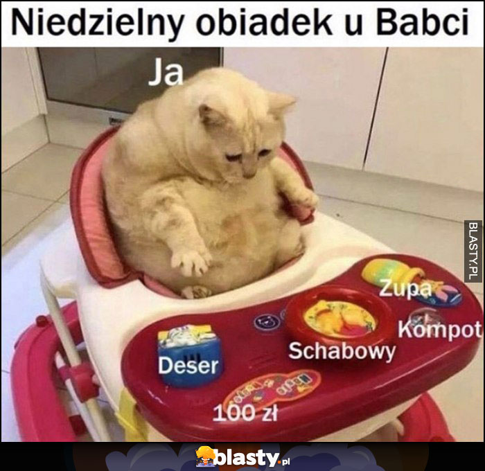 Niedzielny obiadek u babci ja kot: deser, schabowy, 100 zł, kompot, zupa