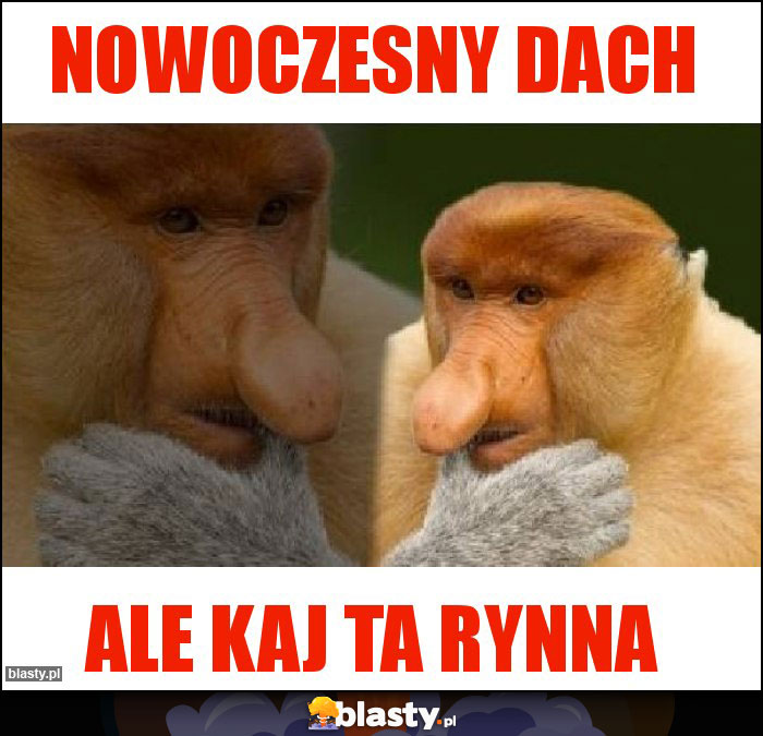 Nowoczesny dach