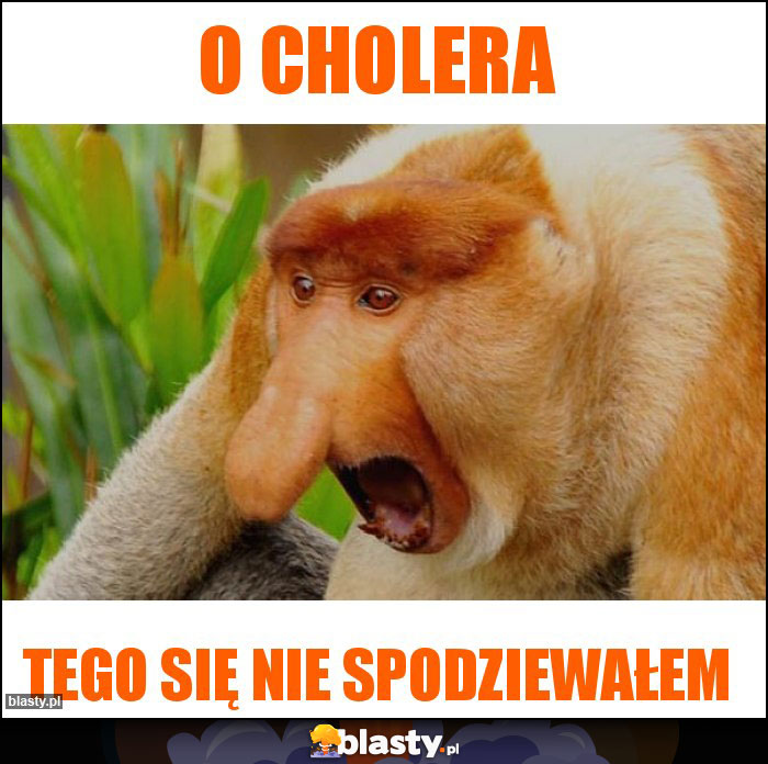 O cholera