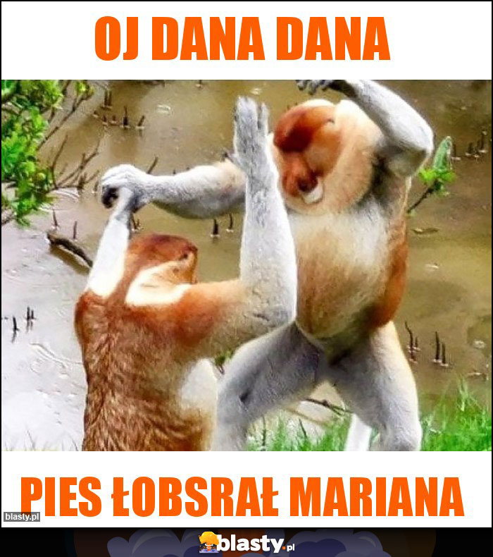 OJ DANA DANA