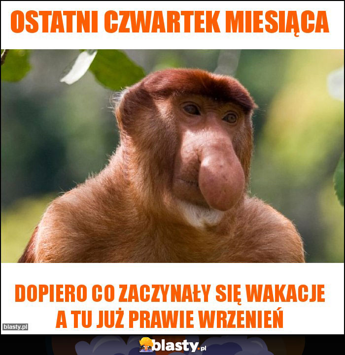 Ostatni czwartek miesiąca