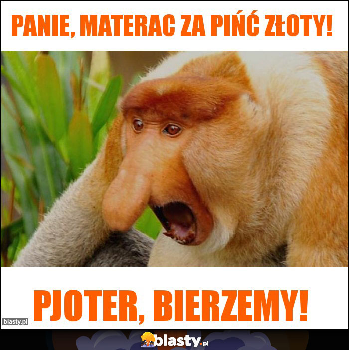 Panie, materac za pińć złoty!
