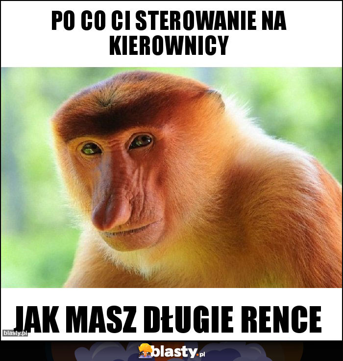 po co Ci sterowanie na kierownicy