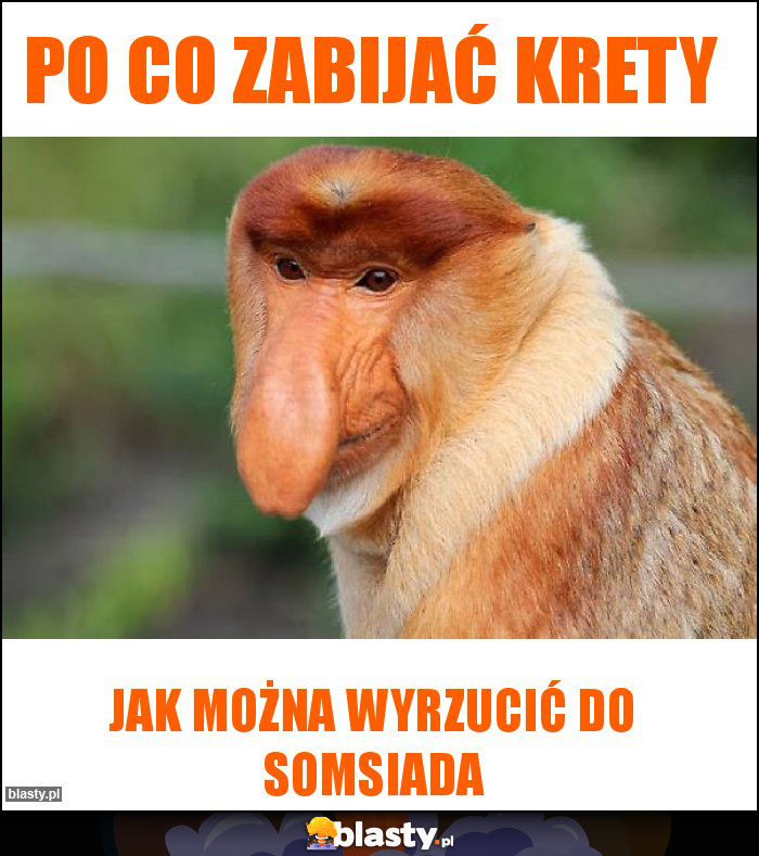 Po co zabijać krety