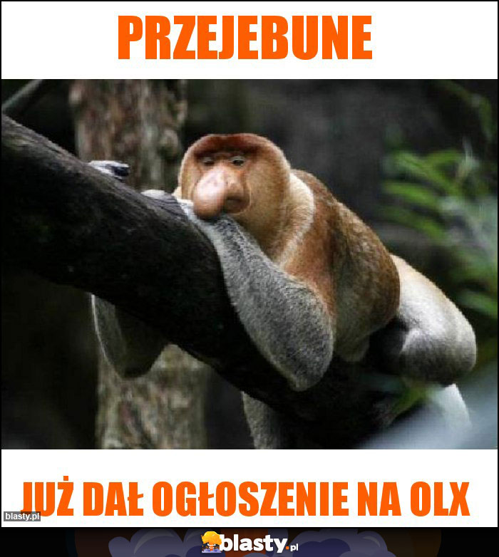 PRZEJEBUNE