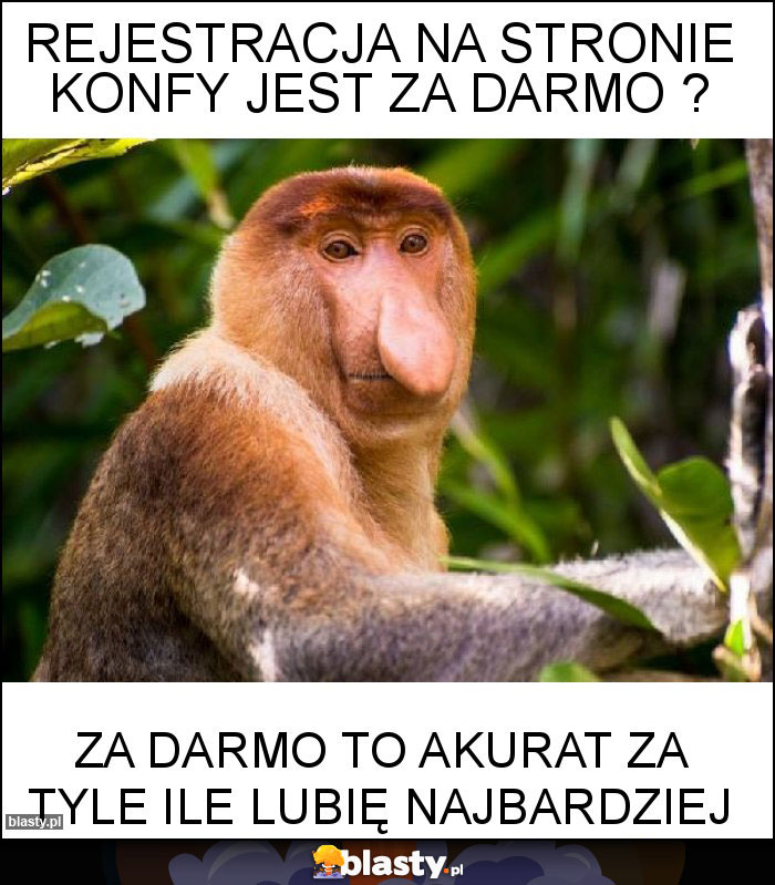 Rejestracja na stronie konfy jest za darmo ?