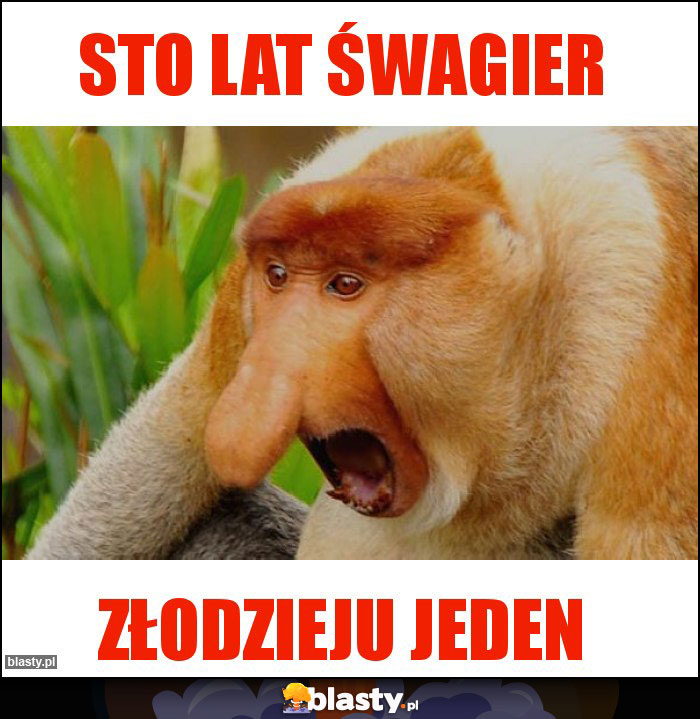 STO LAT ŚWAGIER