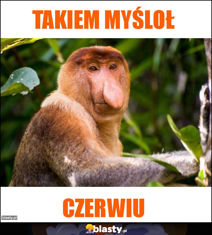 Takiem myśloł