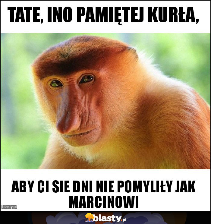 Tate, ino pamiętej kurła,