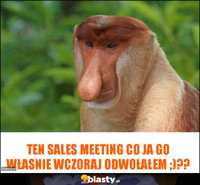 Ten sales meeting co ja go własnie wczoraj odwołałem ;)??