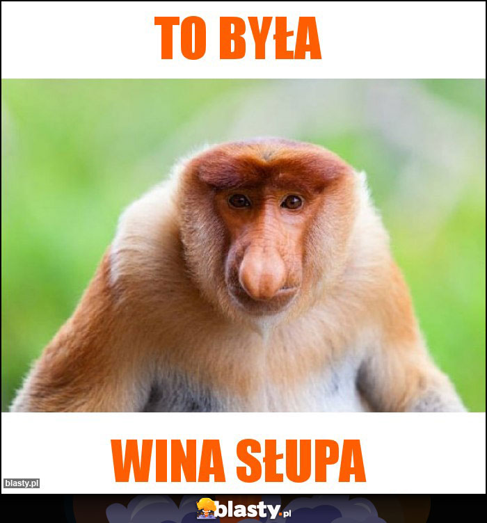 To była