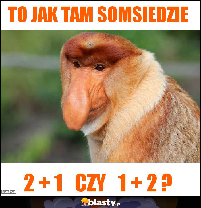 To jak tam somsiedzie