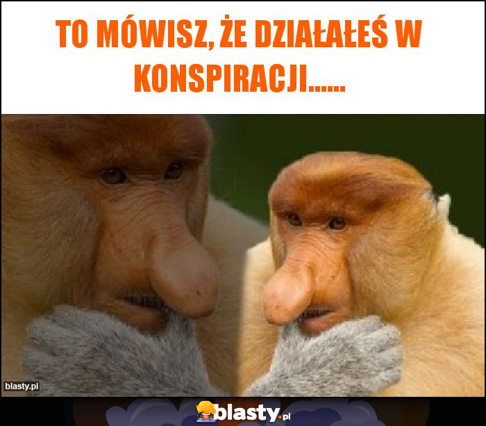 To mówisz, że działałeś w konspiracji......