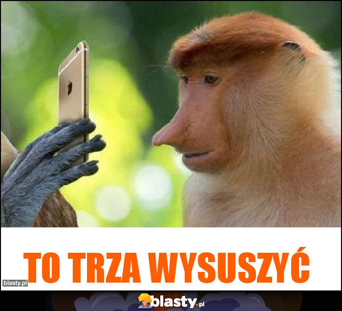 To trza wysuszyć