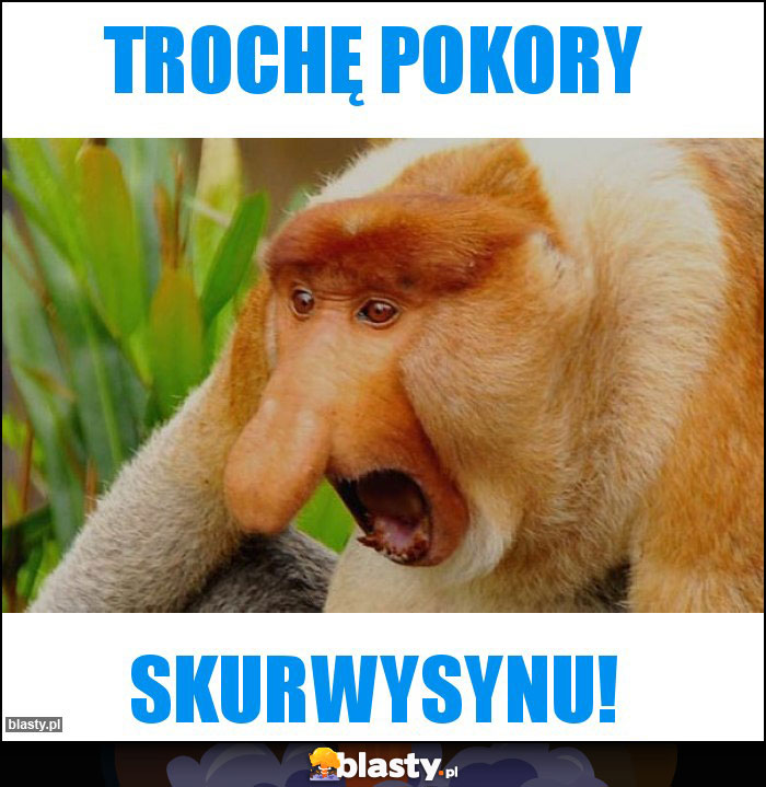 Trochę pokory