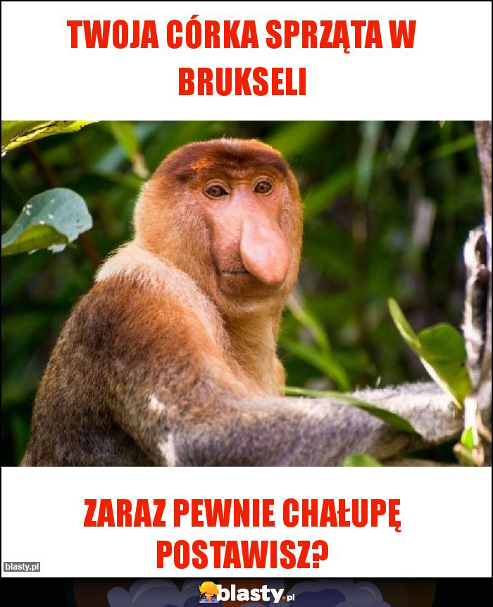 TWOJA CÓRKA SPRZĄTA W BRUKSELI