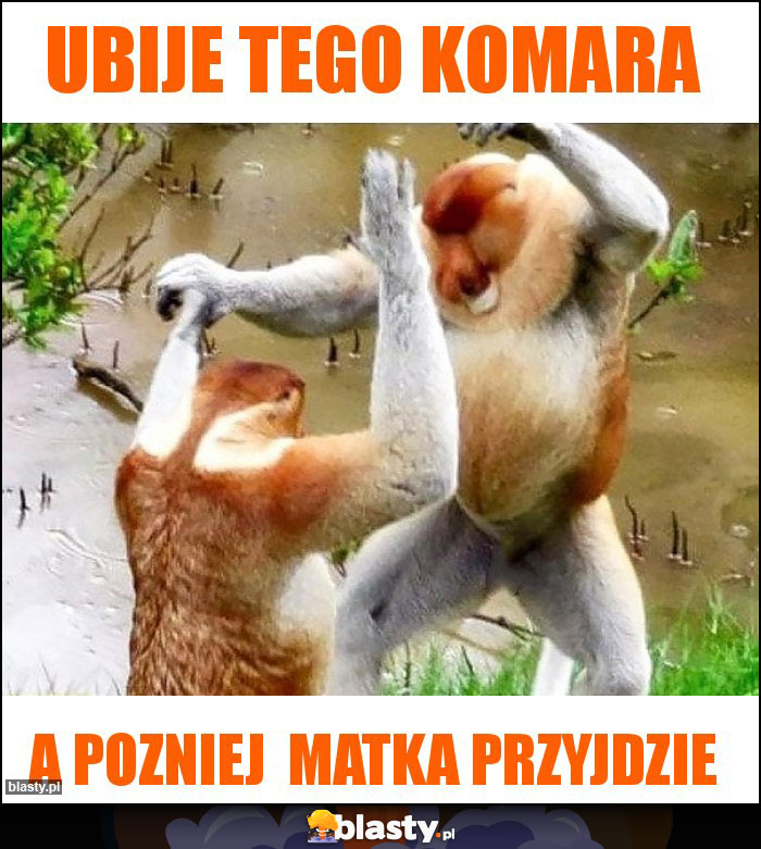 Ubije tego komara