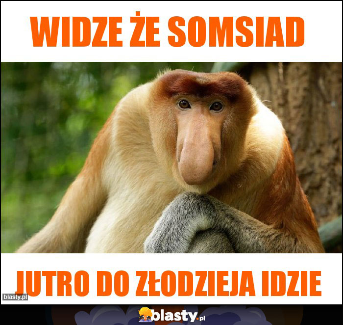 widze że somsiad