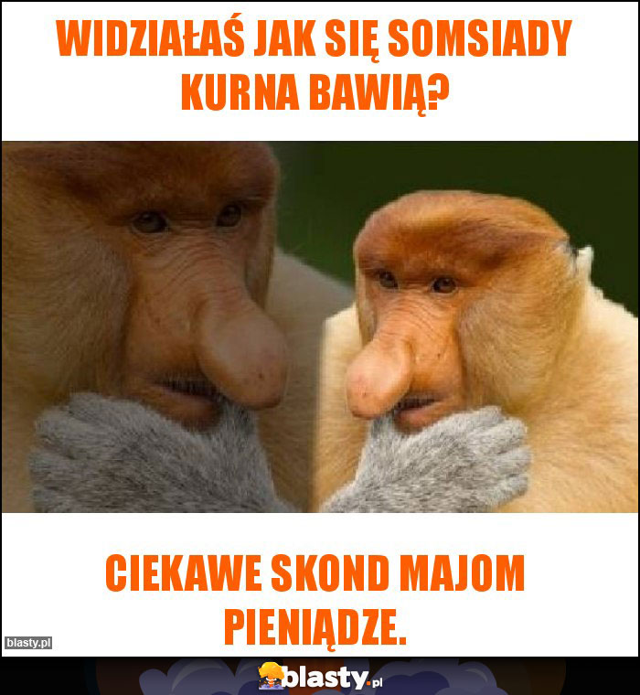 Widziałaś jak się Somsiady kurna bawią?