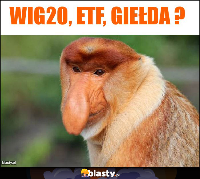 WIG20, ETF, giełda ?