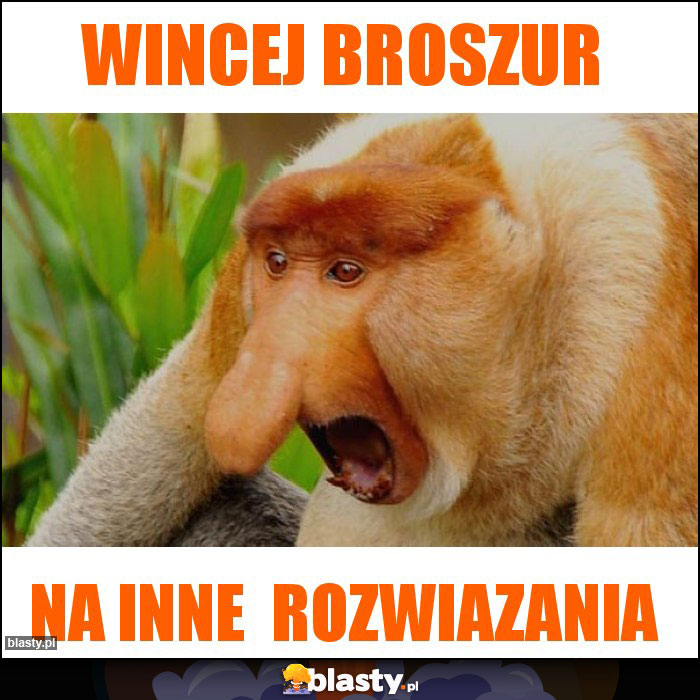 WINCEJ BROSZUR