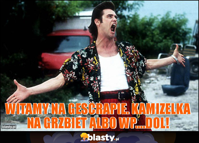 Witamy na Gescrapie. Kamizelka na grzbiet albo wp....dol!