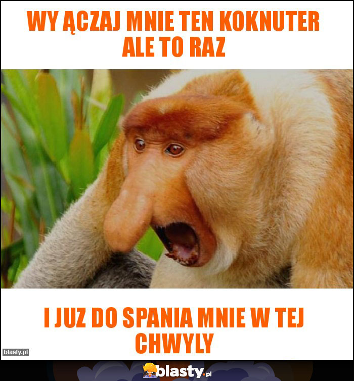 WY ĄCZAJ MNIE TEN KOKNUTER ALE TO RAZ