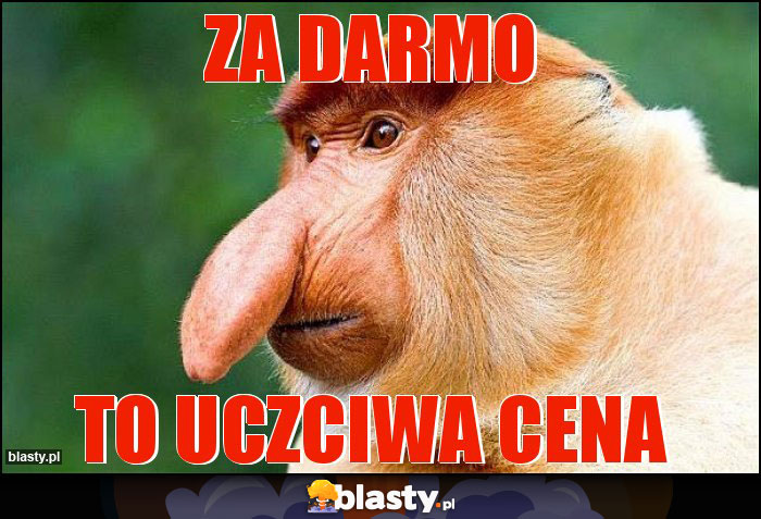 Za darmo