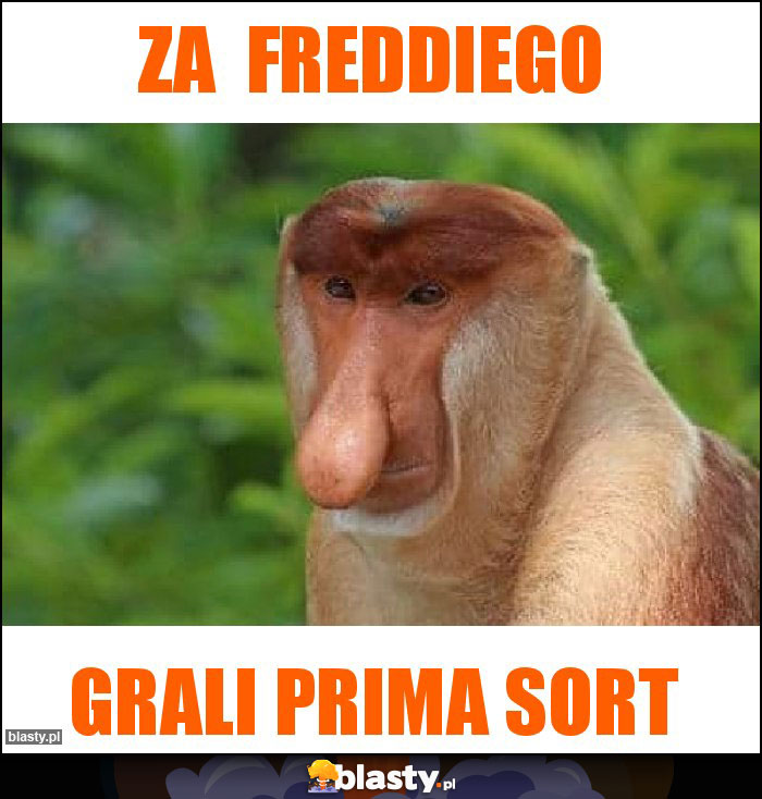 Za  FREDDIEGO