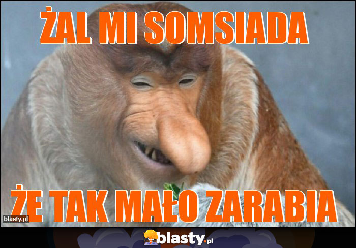 ŻAL MI SOMSIADA