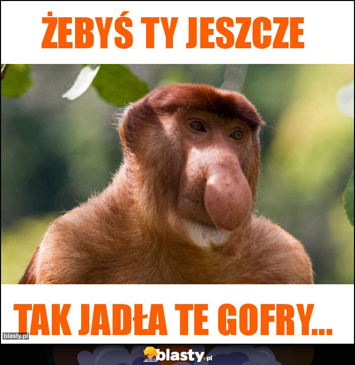 Żebyś Ty jeszcze