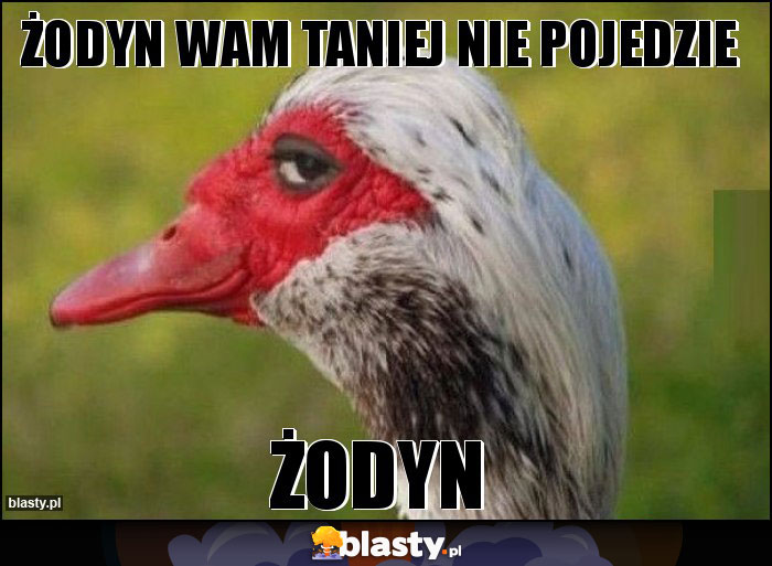 Żodyn wam taniej nie pojedzie