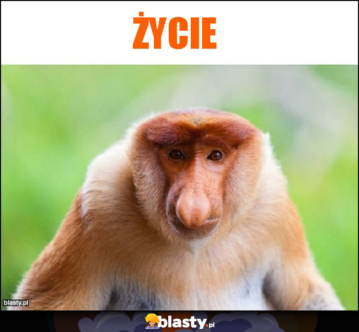 Życie