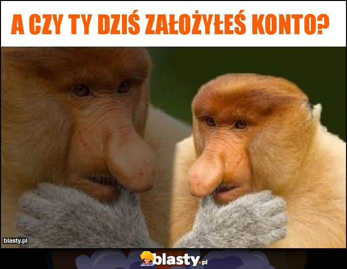 a czy ty dziś założyłeś konto?