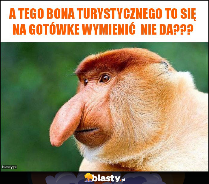 a tego bona turystycznego to się na gotówke wymienić  nie da???