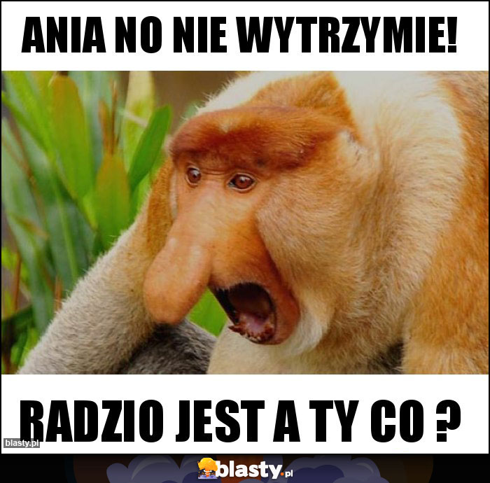 Ania no nie wytrzymie!