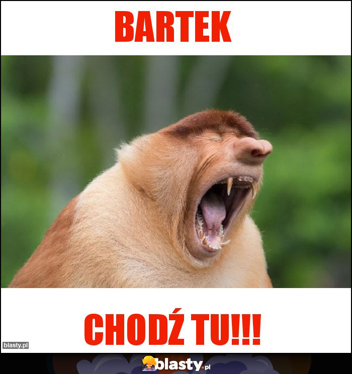 BARTEK