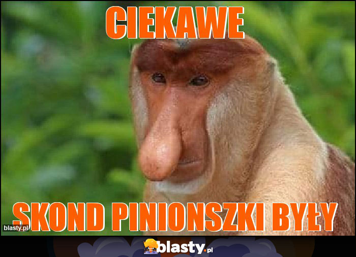 Ciekawe